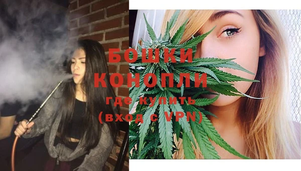 Альфа ПВП Верея