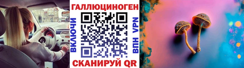 Галлюциногенные грибы Cubensis  Канаш 