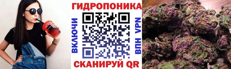 Бошки марихуана индика  Канаш 